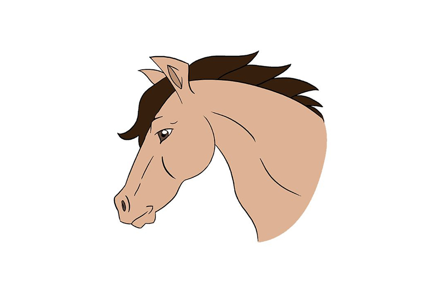 马的头部详细画法步骤