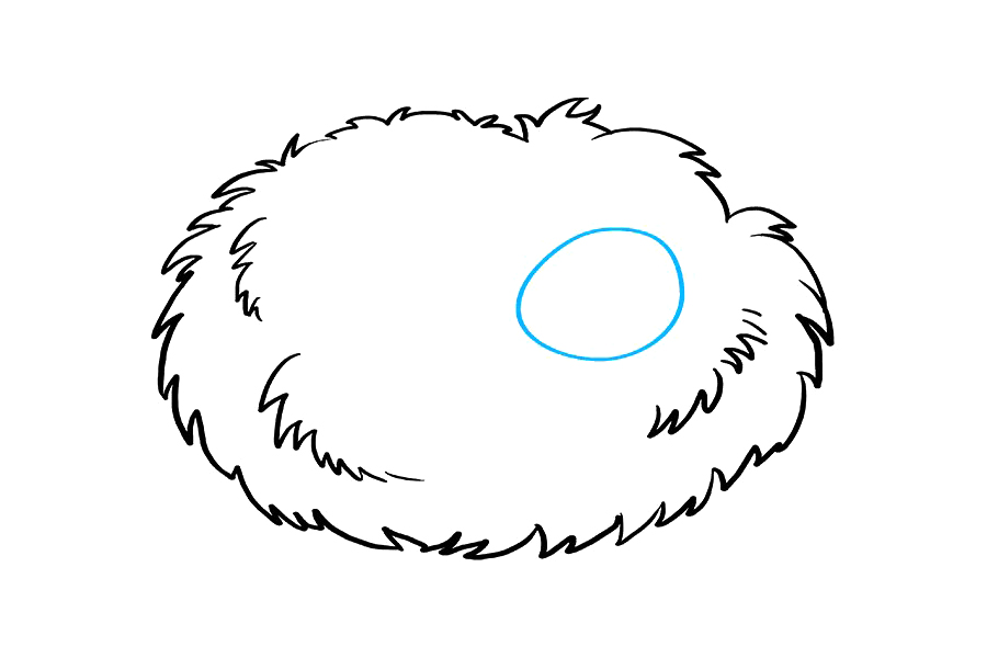 如何画鸟巢-图4