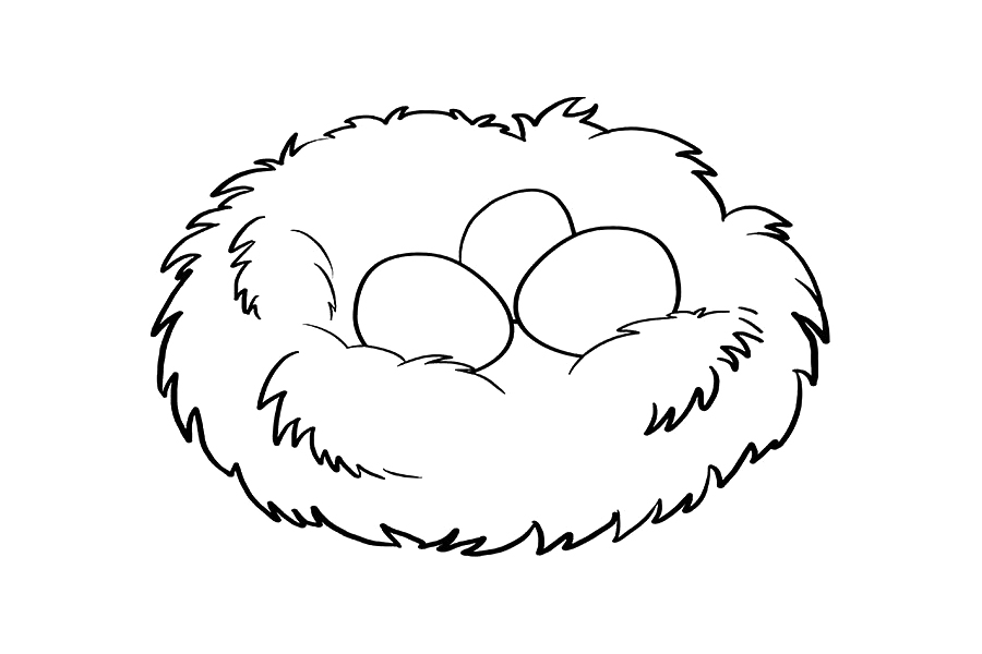 如何画鸟巢-图8