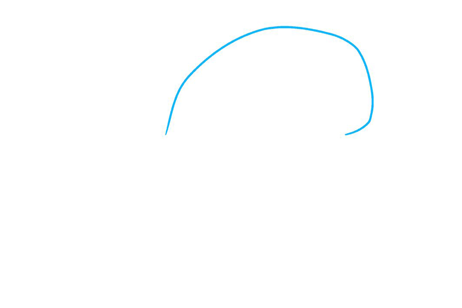 如何画鸟头骨-图1