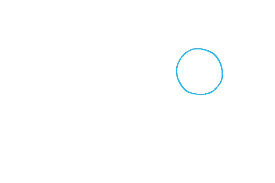 如何画水獭-图1