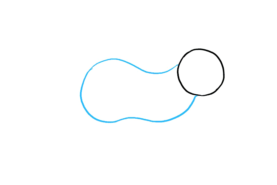 如何画水獭-图2