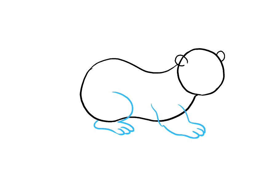 如何画水獭-图4