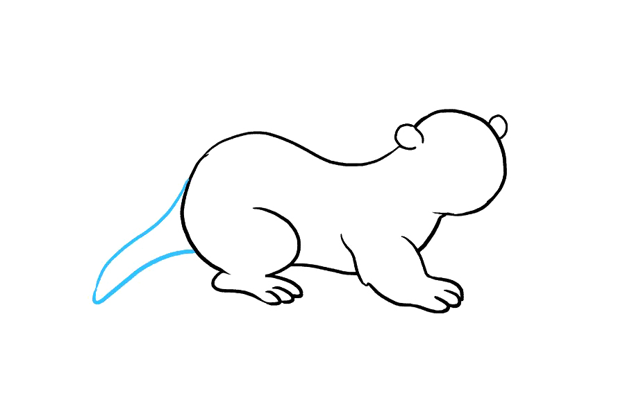 如何画水獭-图6