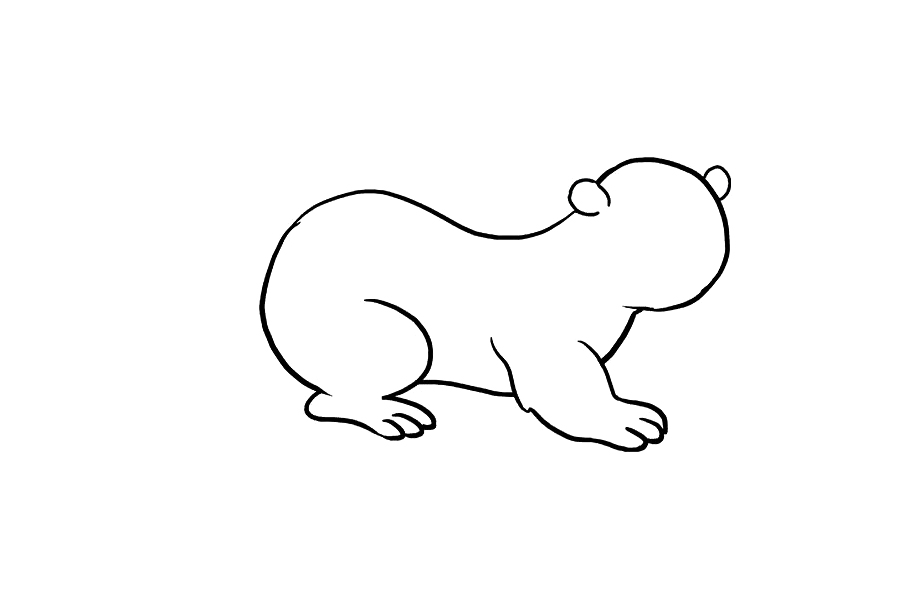 如何画水獭-图5