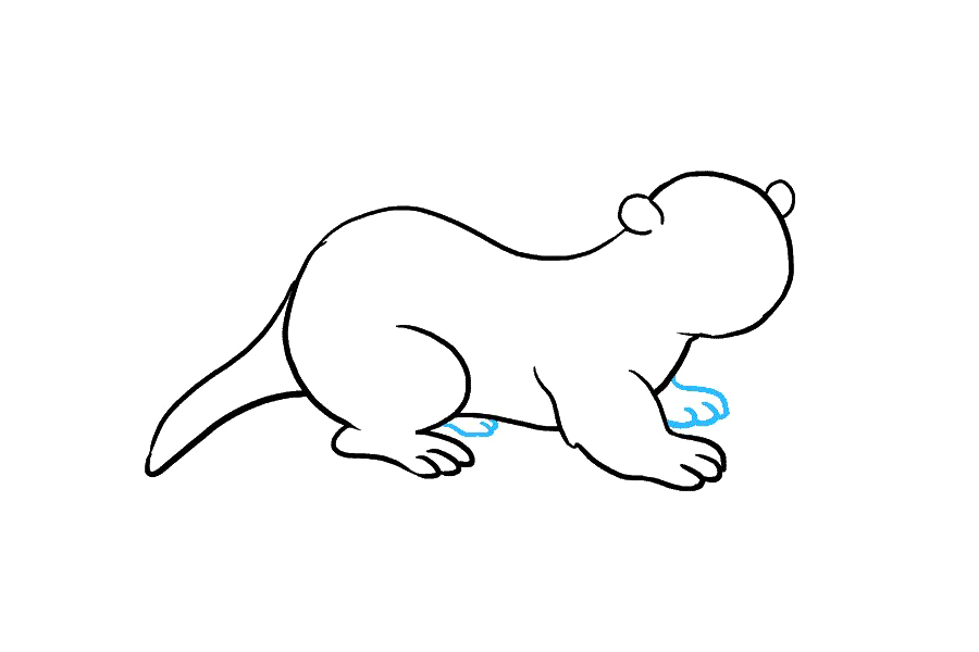 如何画水獭-图7