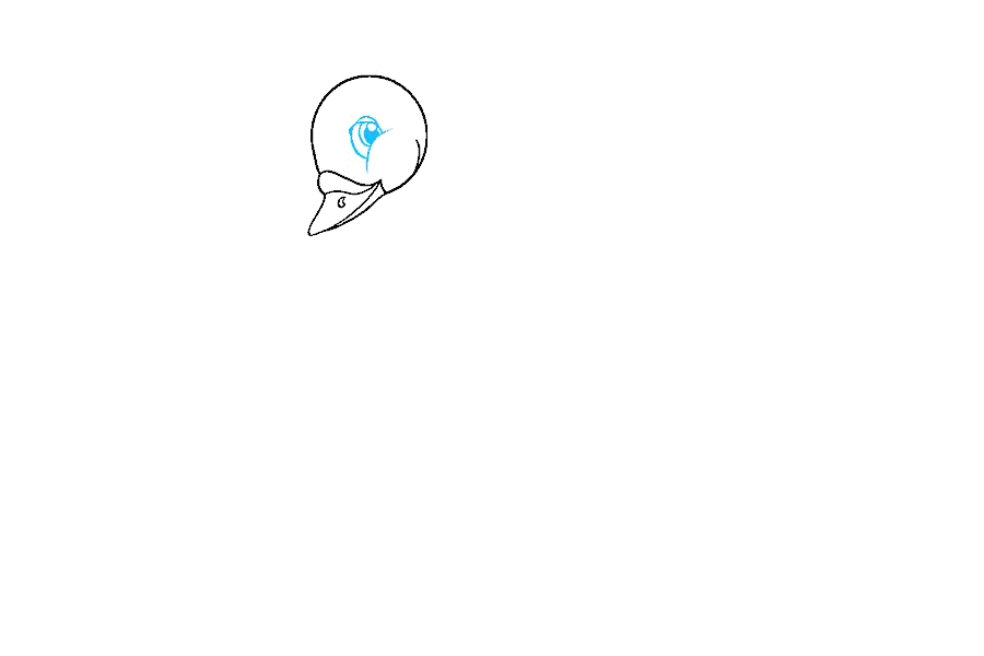 如何画天鹅-图4