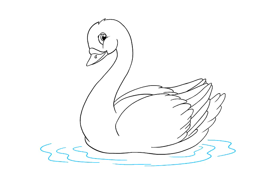 如何画天鹅-图9