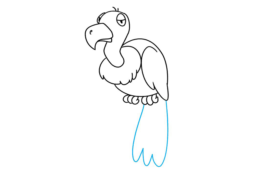 如何画秃鹫-图9
