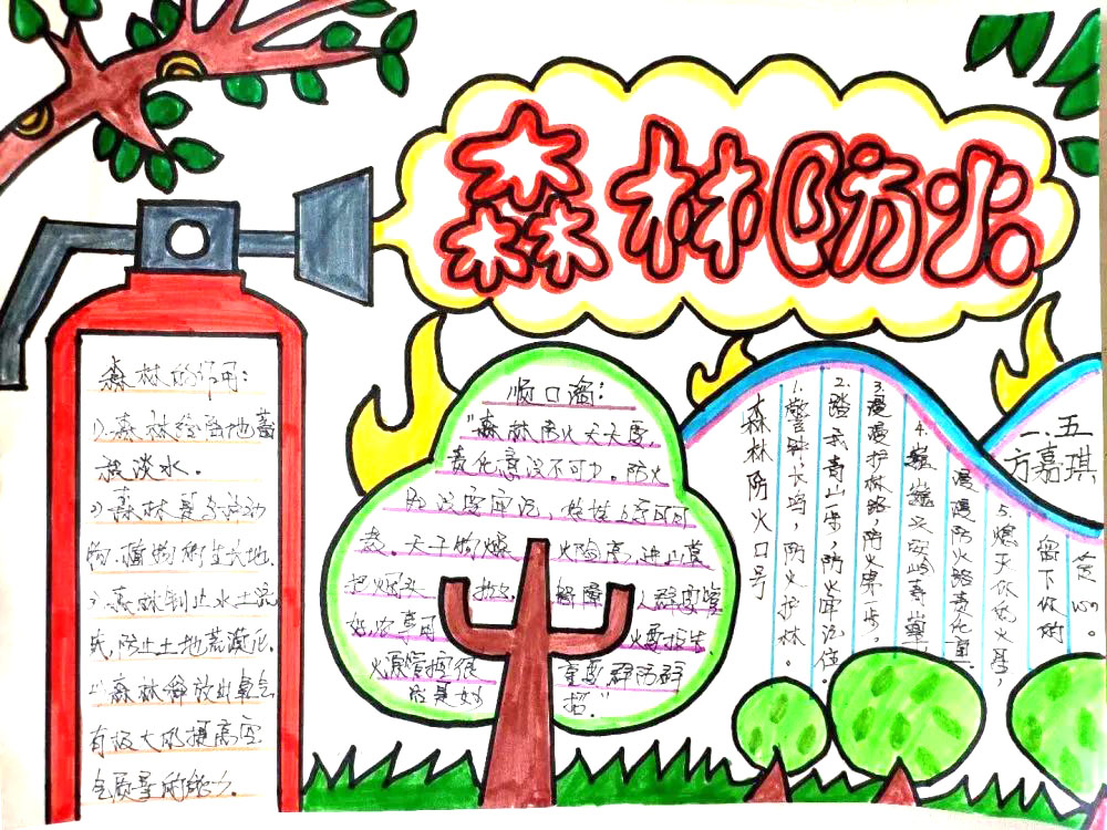森林防火手抄报简单又漂亮-图2