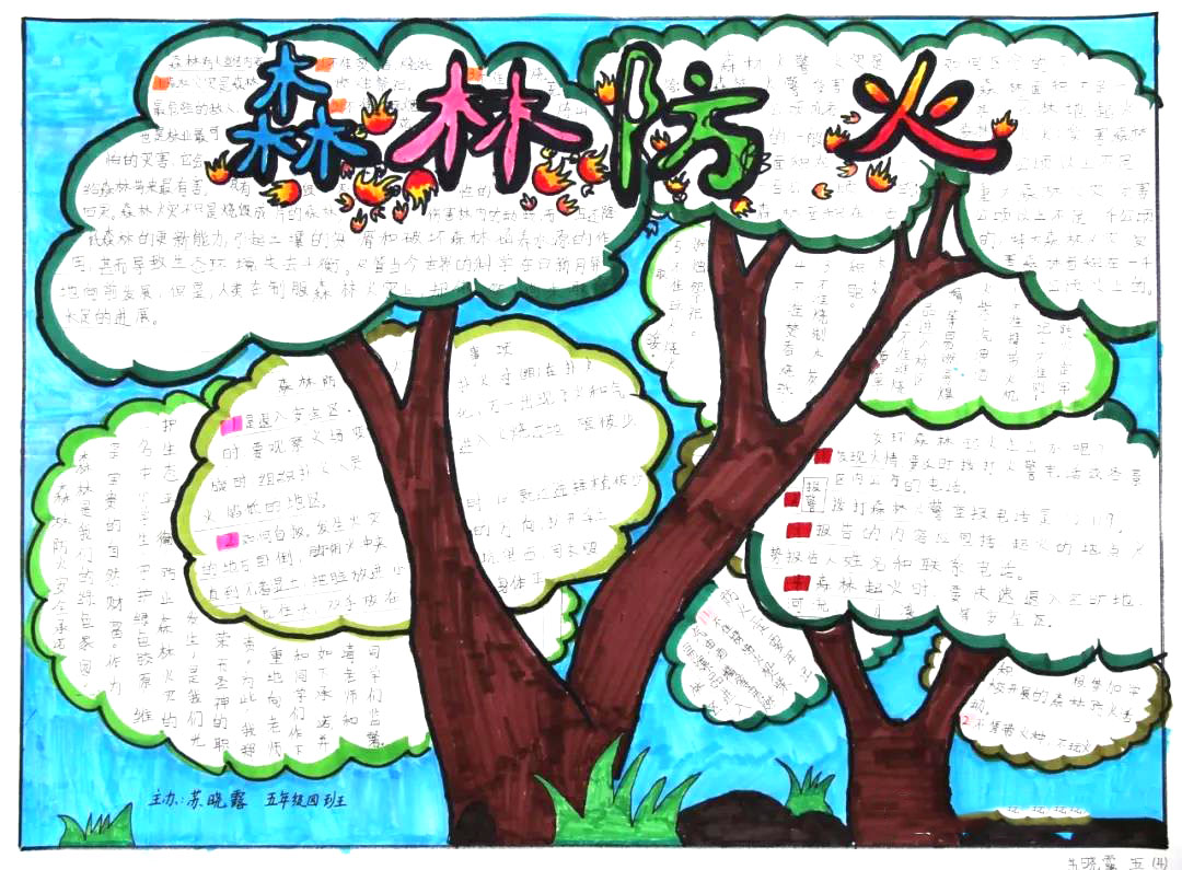 森林防火手抄报简单又漂亮-图4