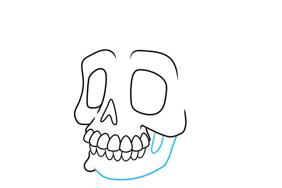 如何画头骨-图8