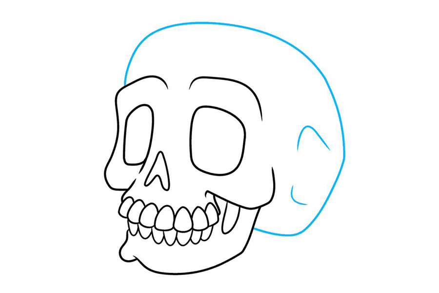 如何画头骨-图9