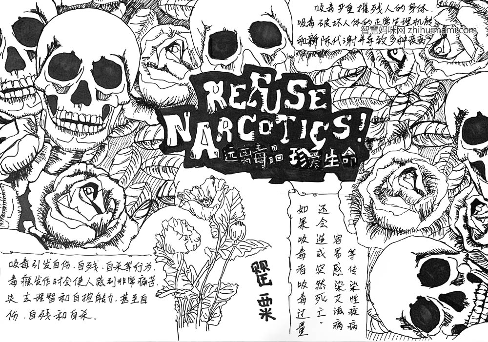 无毒青春健康成长手抄报-图1