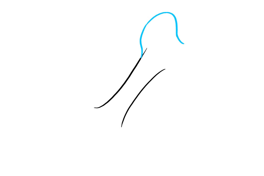 狗骨头怎么画-图3