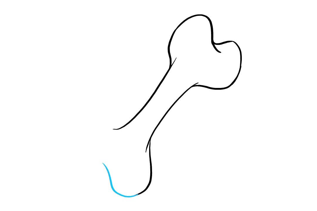 狗骨头怎么画-图6