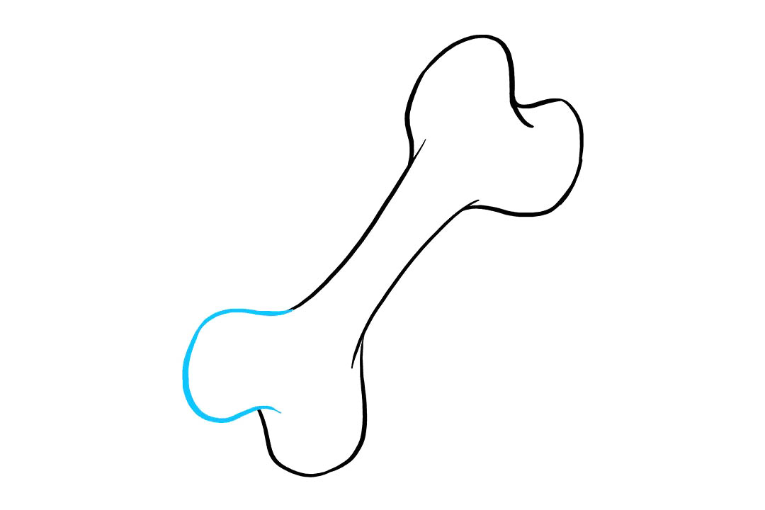 狗骨头怎么画-图7