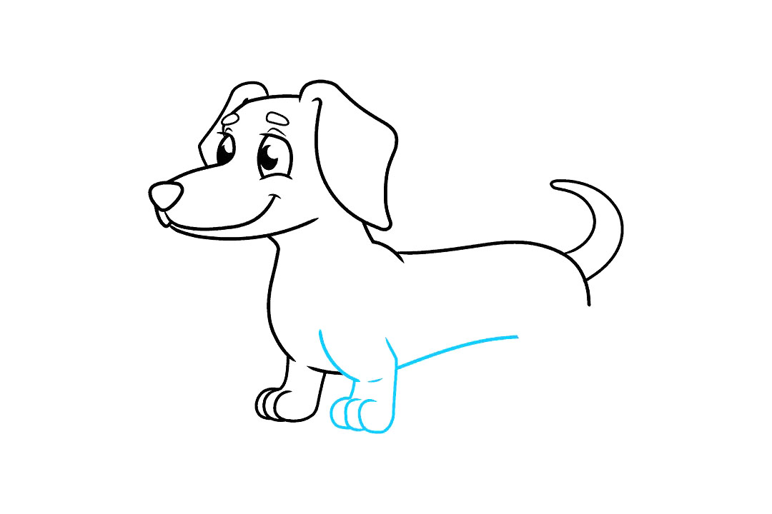 腊肠犬的画法-图7