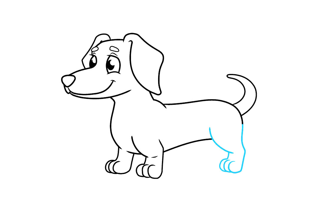 腊肠犬的画法-图8