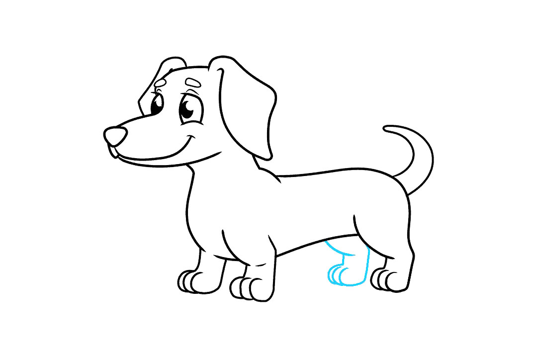 腊肠犬的画法-图9