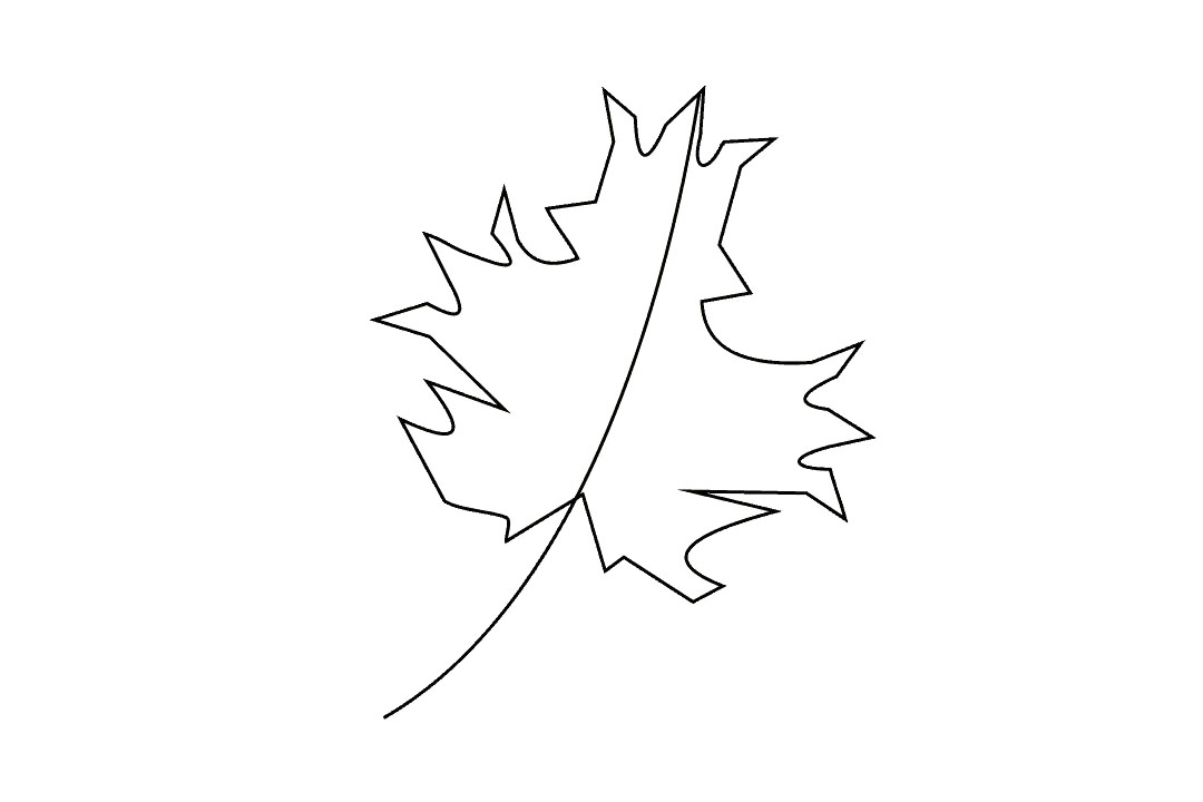 枫叶怎么画-图8