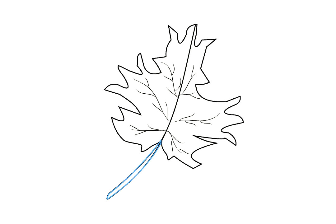 枫叶怎么画-图9