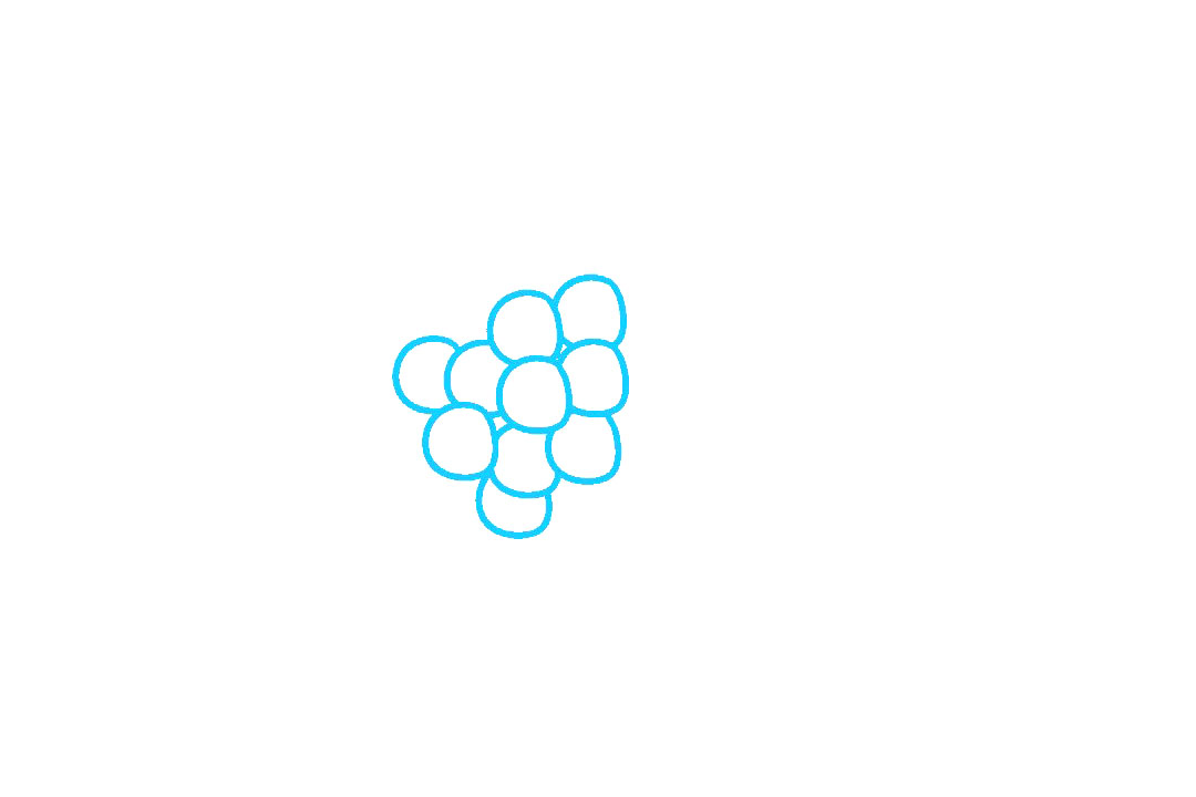 紫葡萄的画法步骤-图1