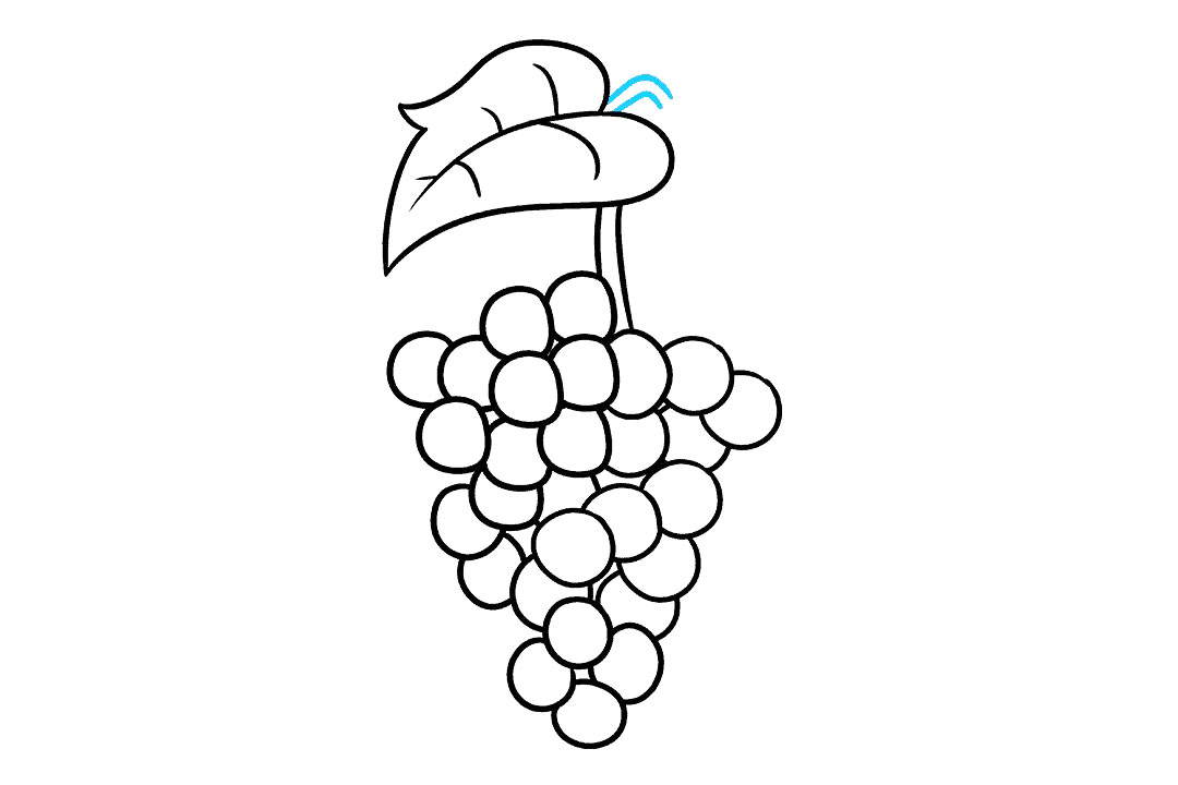 紫葡萄的画法步骤-图8