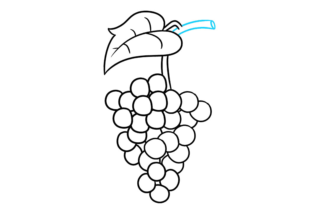 紫葡萄的画法步骤-图9