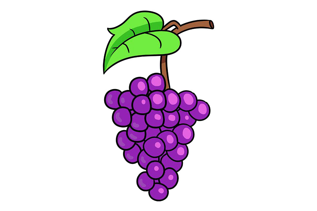 紫葡萄的画法步骤-图10