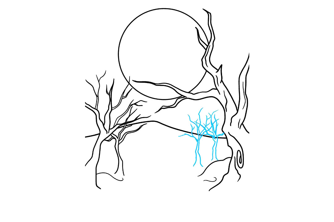 圣诞节幽灵森林怎么画-图5