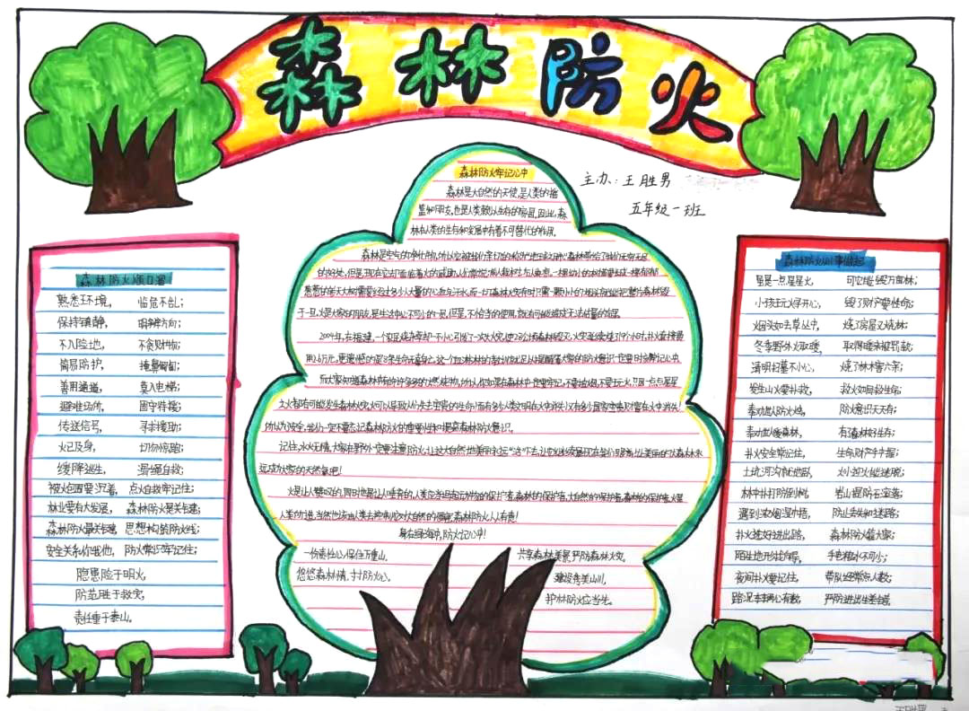 预防森林火灾手抄报图片-图5