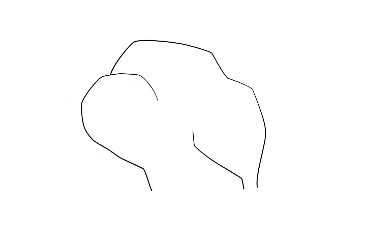 强壮的公牛怎么画-图1