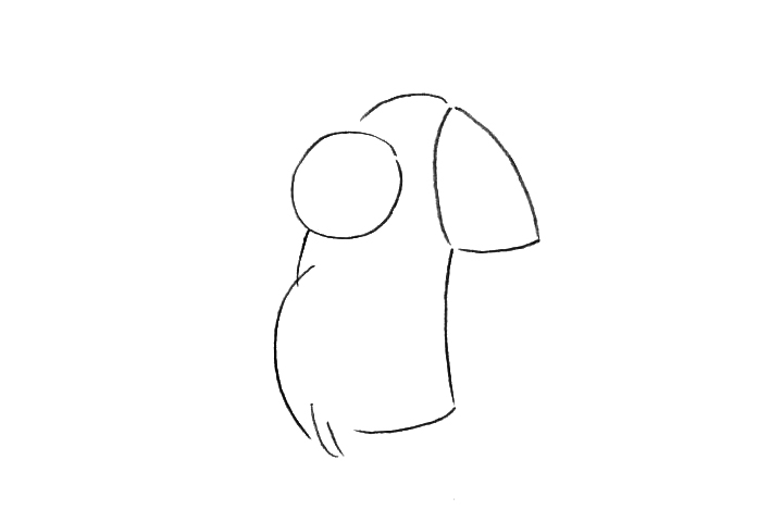 漂亮的鹦鹉怎么画-图1