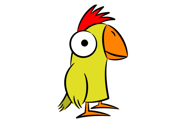 漂亮的鹦鹉怎么画-图4