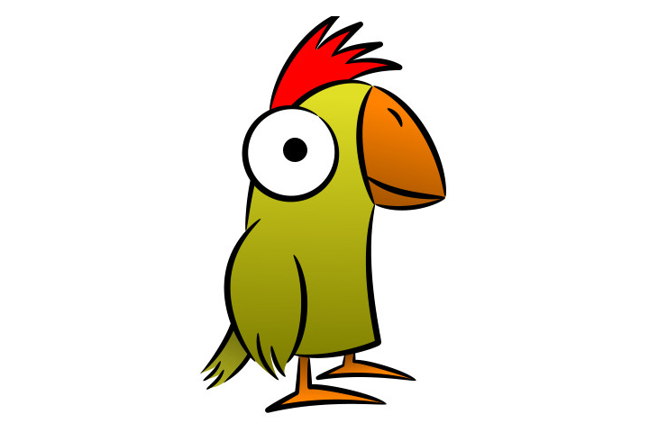 漂亮的鹦鹉怎么画