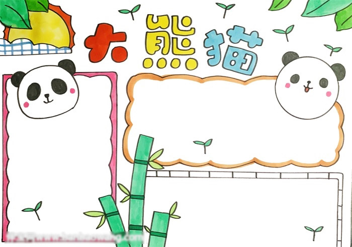 大熊猫手抄报-图3