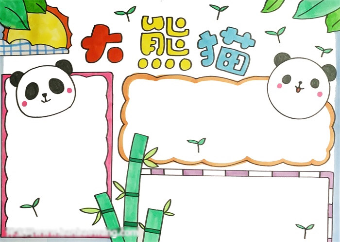 大熊猫手抄报-图4