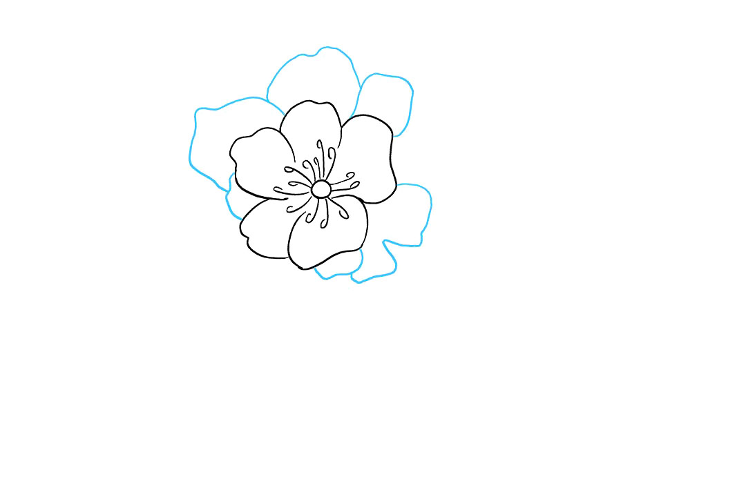 牡丹花怎么画-图4