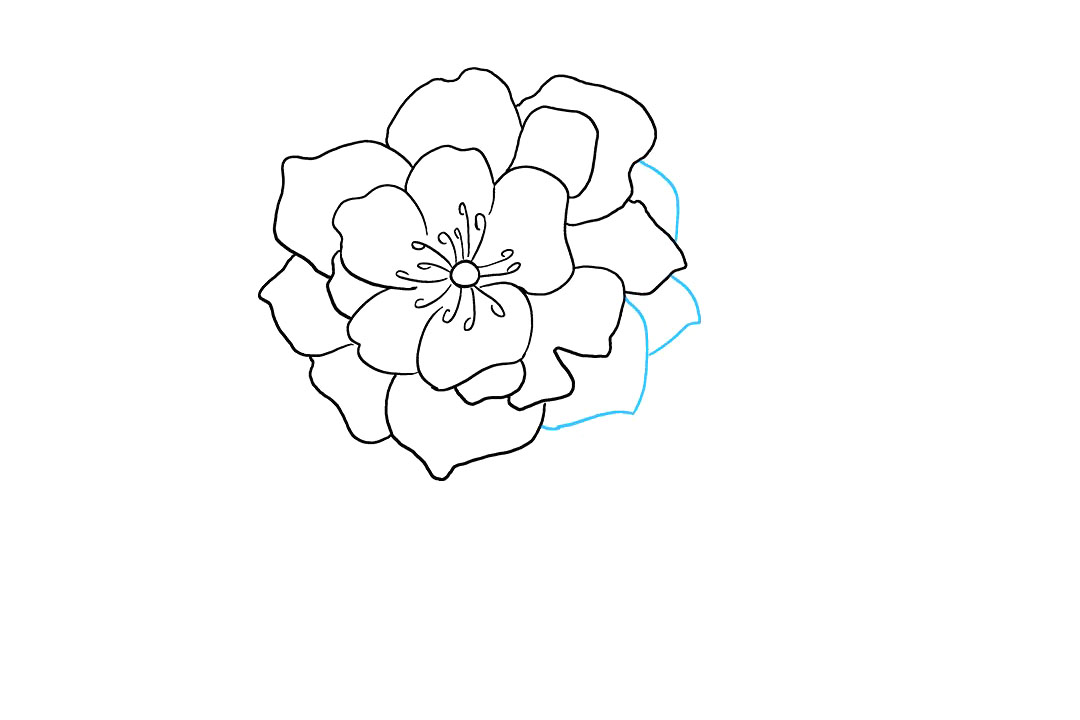 牡丹花怎么画-图6