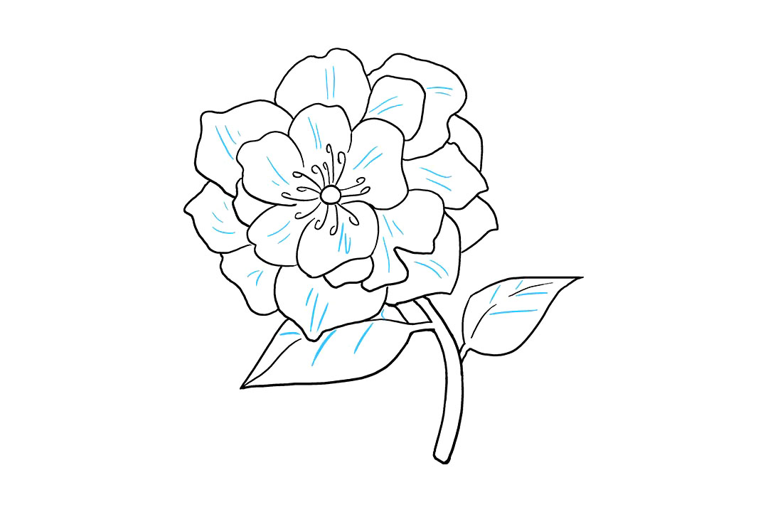 牡丹花怎么画-图9