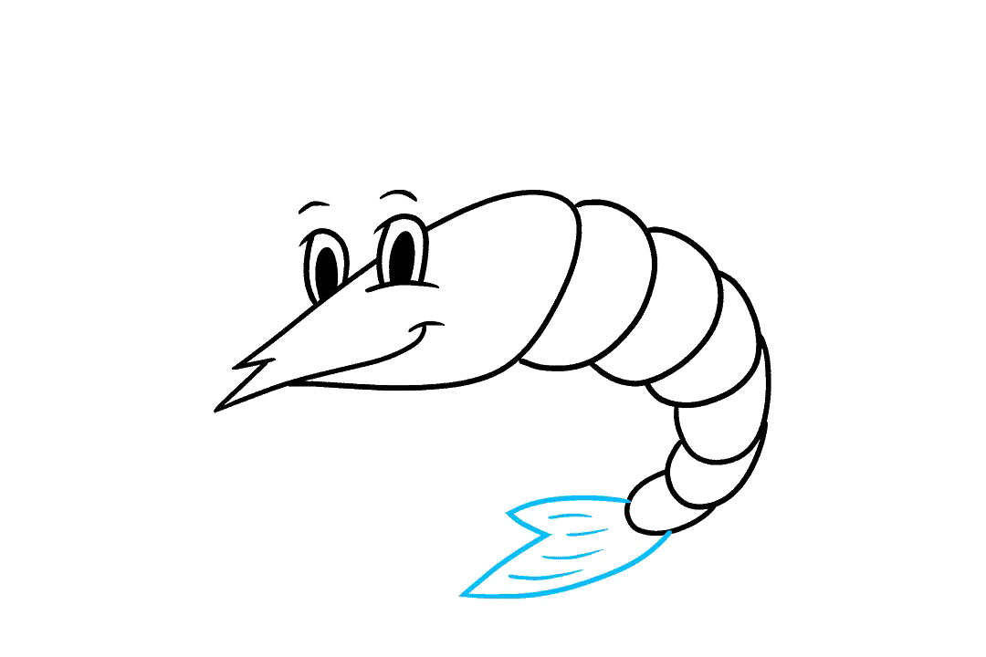 虾的画法步骤图-图5