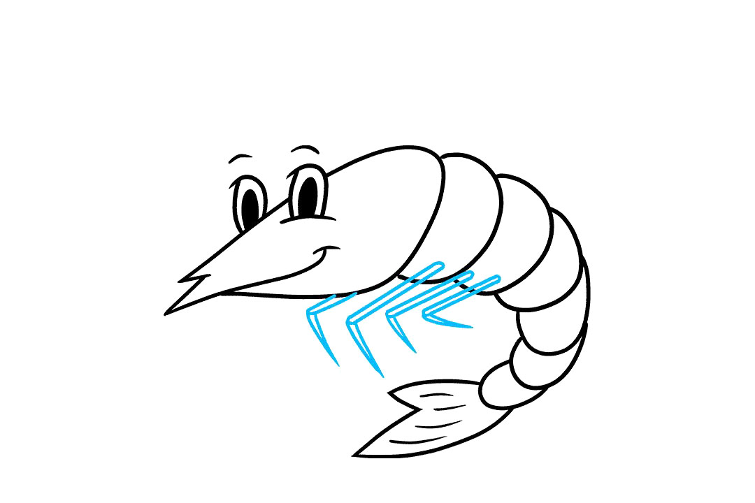 虾的画法步骤图-图6