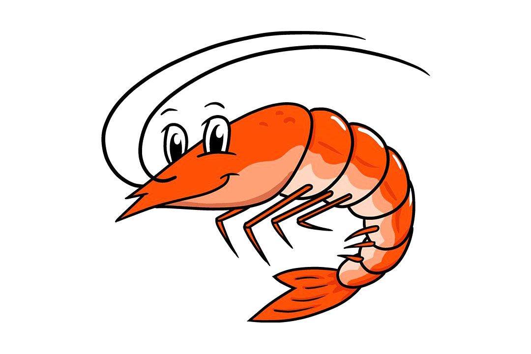 虾的画法步骤图