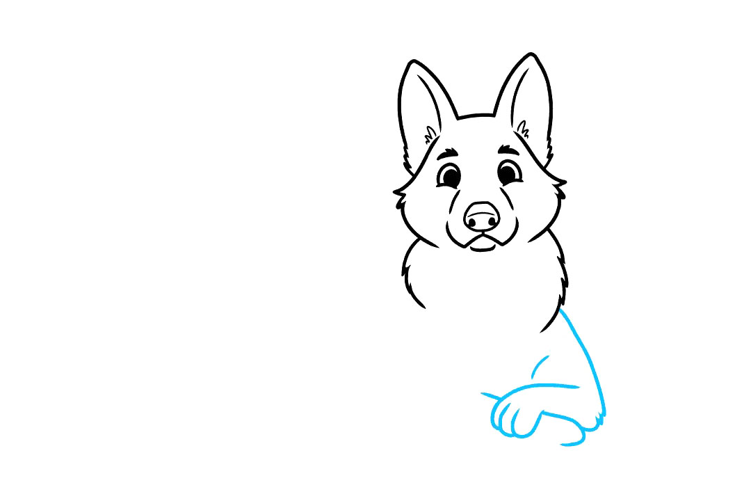 德国牧羊犬怎么画-图4