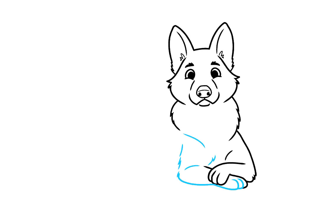 德国牧羊犬怎么画-图5