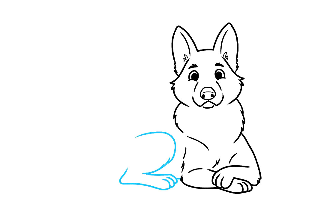 德国牧羊犬怎么画-图6