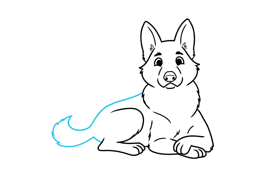 德国牧羊犬怎么画-图7