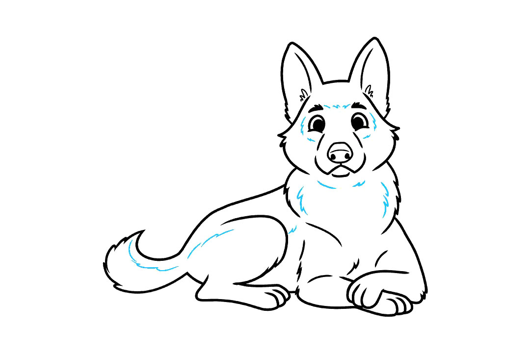 德国牧羊犬怎么画-图8