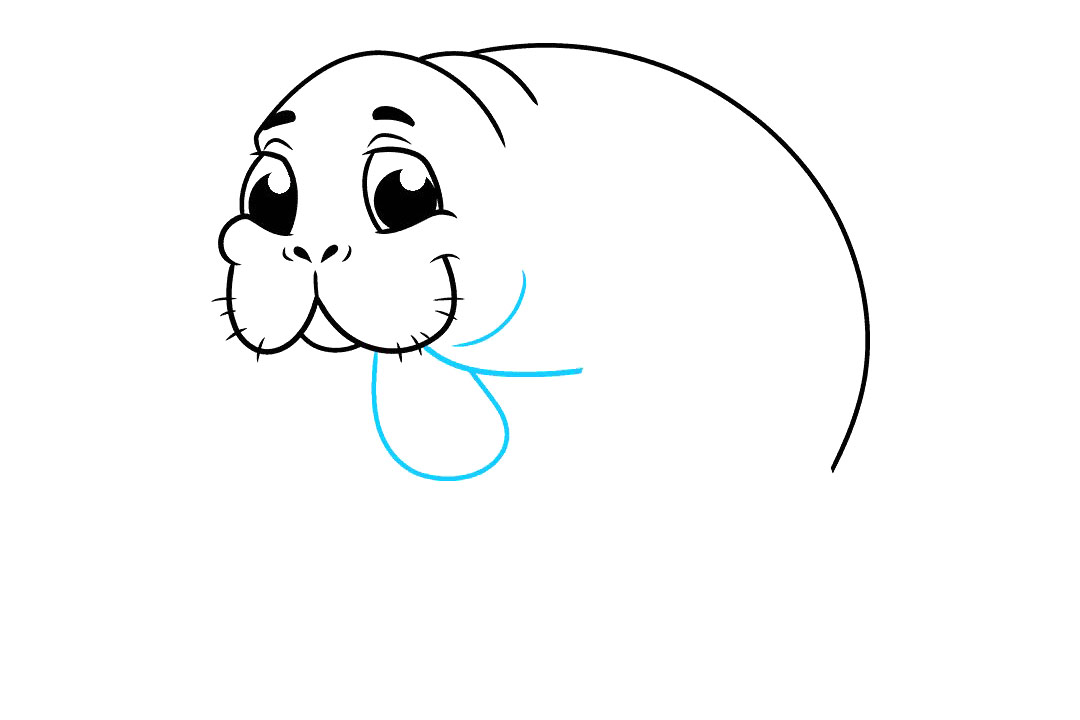 海牛怎么画-图7